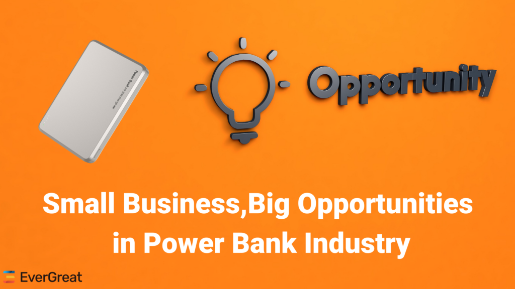How to create your own power bank brand with minimal investment